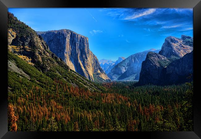 Yosemite National Park California Framed Print by Ann McGrath