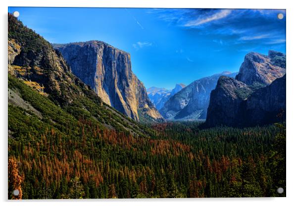 Yosemite National Park California Acrylic by Ann McGrath