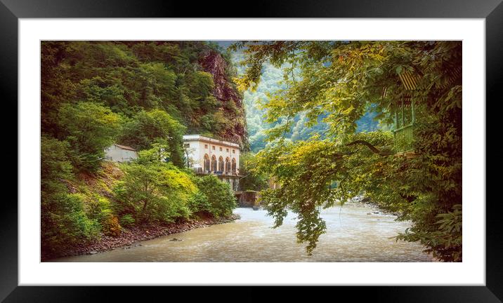 Valley of Trees Framed Mounted Print by Svetlana Sewell