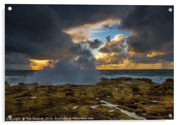 Lava field meets the sea Acrylic by Tom Dolezal