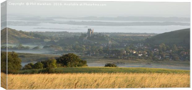 Misty Morning Canvas Print by Phil Wareham