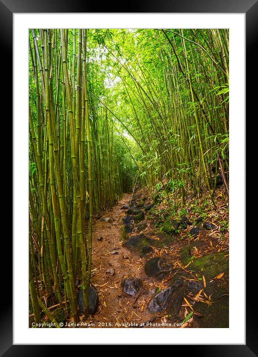 The magical bamboo forest of Maui Framed Mounted Print by Jamie Pham