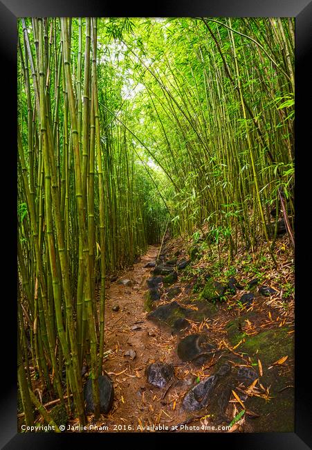 The magical bamboo forest of Maui Framed Print by Jamie Pham