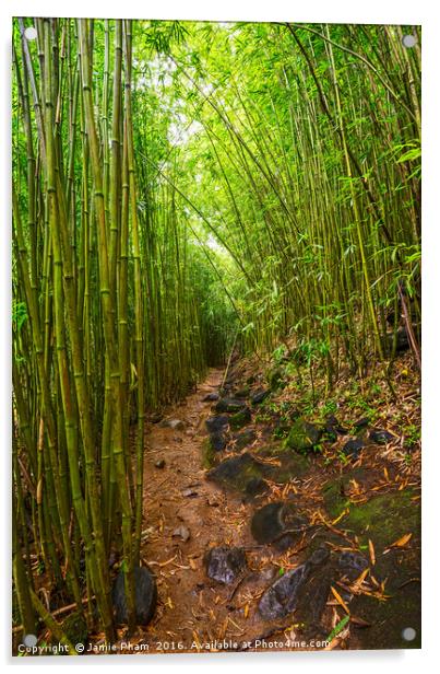 The magical bamboo forest of Maui Acrylic by Jamie Pham