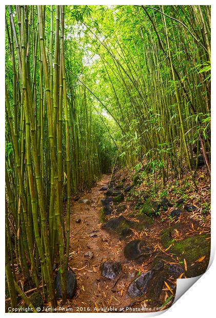 The magical bamboo forest of Maui Print by Jamie Pham