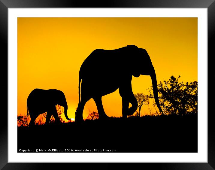 Elephant Silhouette  Framed Mounted Print by Mark McElligott