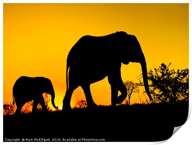 Elephant Silhouette  Print by Mark McElligott