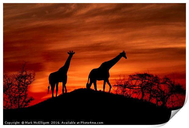Giraffe Silhouette  Print by Mark McElligott