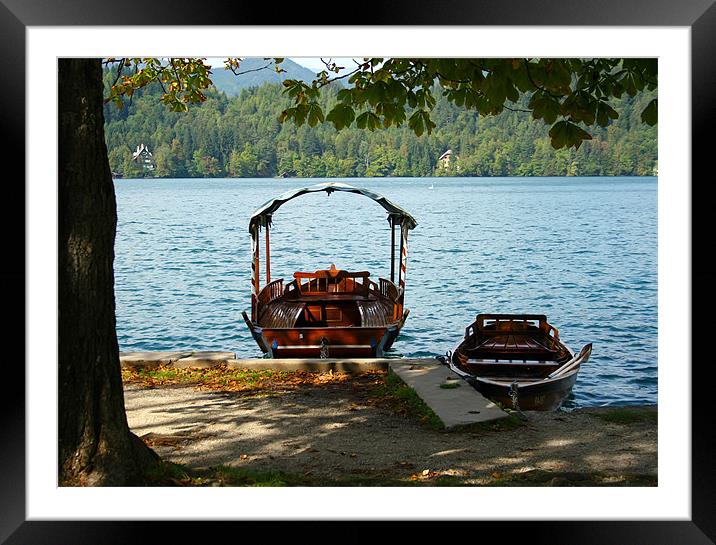Lake Bohinj, Slovenia, boating Framed Mounted Print by Raymond Gilbert