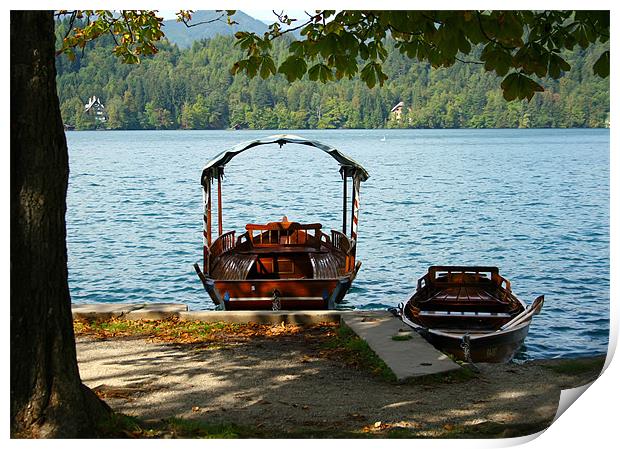 Lake Bohinj, Slovenia, boating Print by Raymond Gilbert