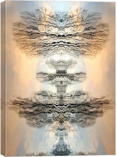 Artisitc, reflection, unique Canvas Print by Raymond Gilbert