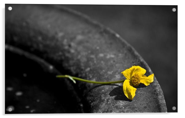 Yellow flower Acrylic by Julie Skone