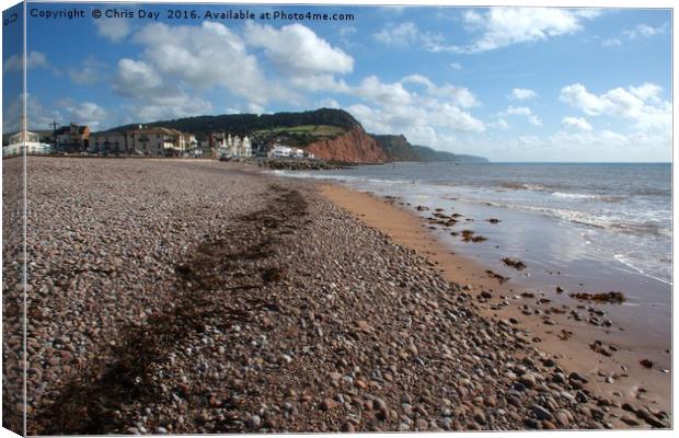 Sidmouth Beach Canvas Print by Chris Day