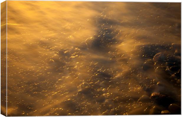 Golden Light Canvas Print by Mike Dawson