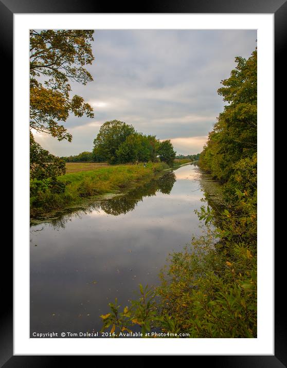Autumn reflections along Hythe Canal Framed Mounted Print by Tom Dolezal