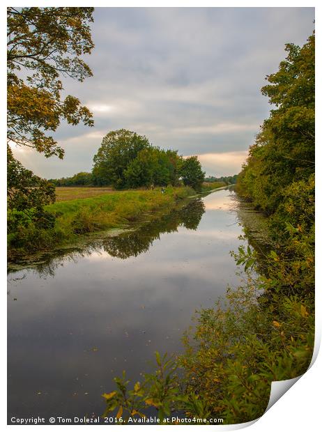 Autumn reflections along Hythe Canal Print by Tom Dolezal