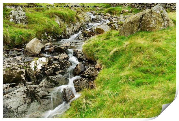 OVER THE ROCKS WE GO Print by andrew saxton