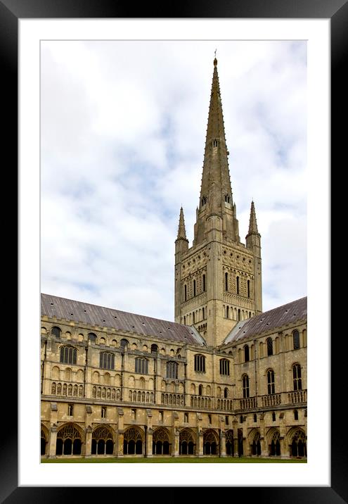 Norwich Cathedral From the Cloisters Framed Mounted Print by Darren Burroughs