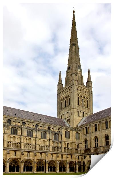 Norwich Cathedral From the Cloisters Print by Darren Burroughs