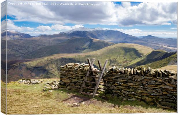 Stile and Stone Wall on Moel Eilio Snowdonia Canvas Print by Pearl Bucknall