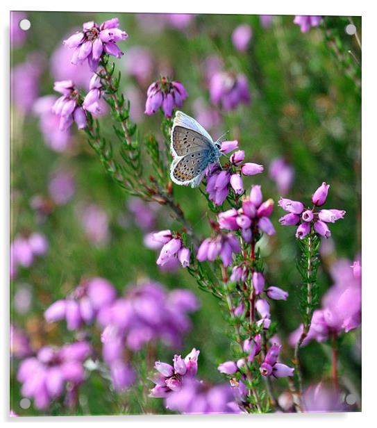 Silver Studded Blue Acrylic by Ruth Hallam