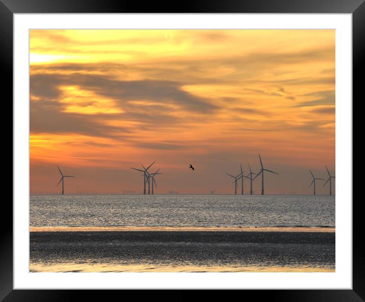 windfarm Framed Mounted Print by sue davies