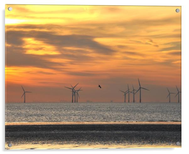 windfarm Acrylic by sue davies