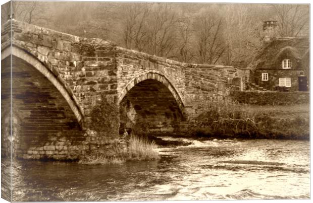 the bridge Canvas Print by sue davies