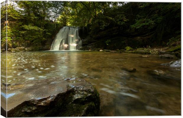 Janet's Foss Canvas Print by Anthony Simpson