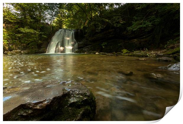 Janet's Foss Print by Anthony Simpson