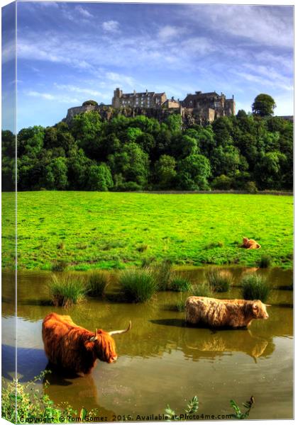 Keeping cool at the Castle Canvas Print by Tom Gomez