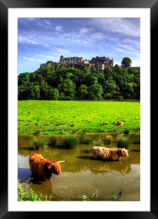 Keeping cool at the Castle Framed Mounted Print by Tom Gomez