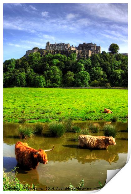 Keeping cool at the Castle Print by Tom Gomez