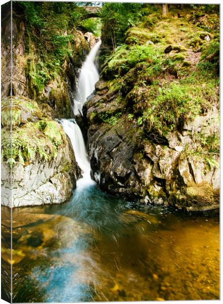 Aira Force Canvas Print by Anthony Simpson