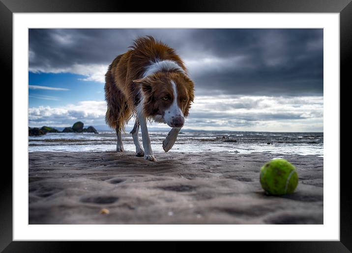 On the ball   Framed Mounted Print by Alan Simpson