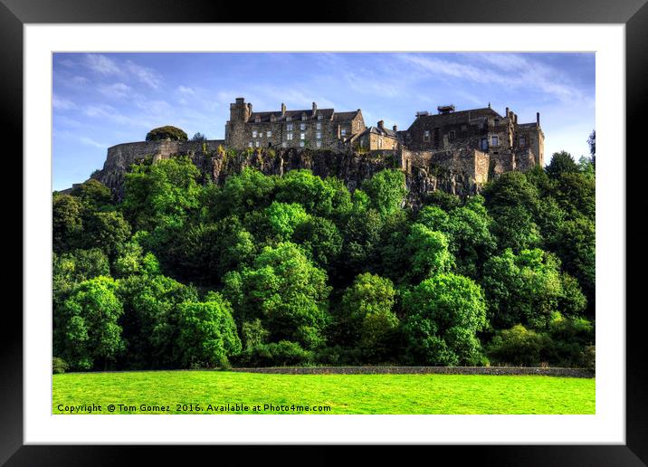 Stirling Castle Framed Mounted Print by Tom Gomez