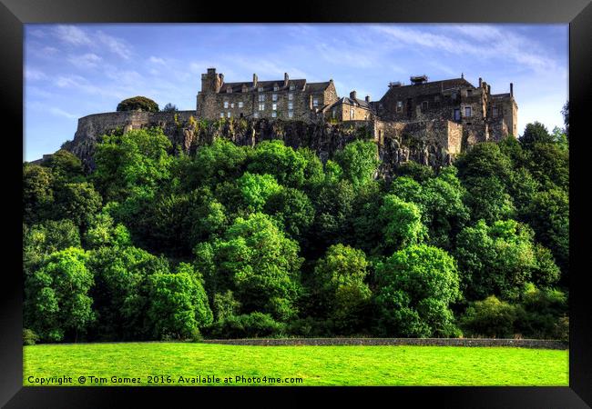 Stirling Castle Framed Print by Tom Gomez