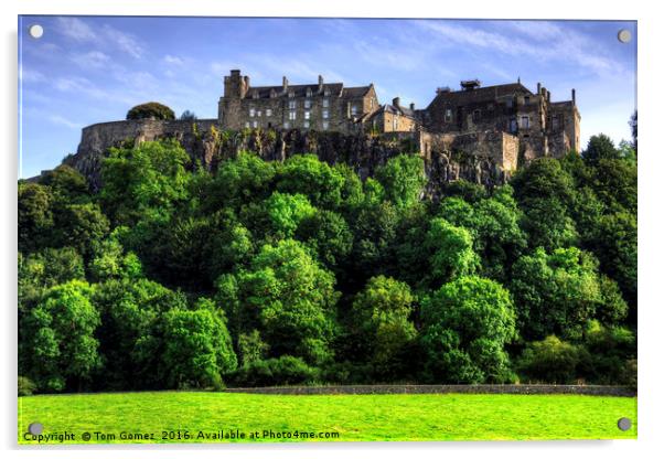 Stirling Castle Acrylic by Tom Gomez