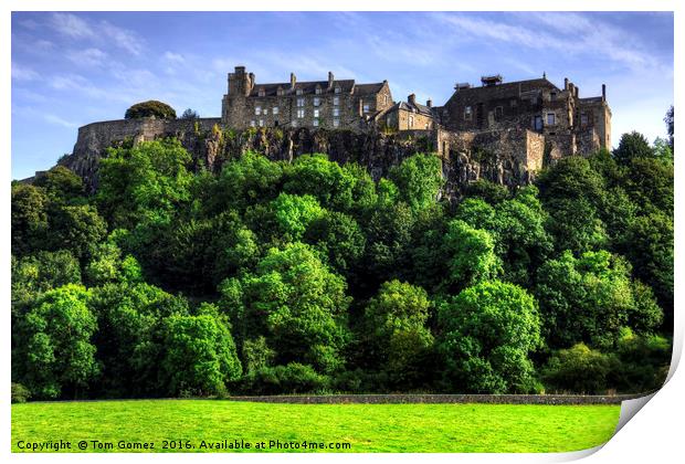 Stirling Castle Print by Tom Gomez