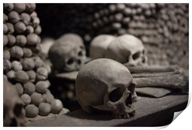 Skulls of Kutná Hora Print by James Buckle