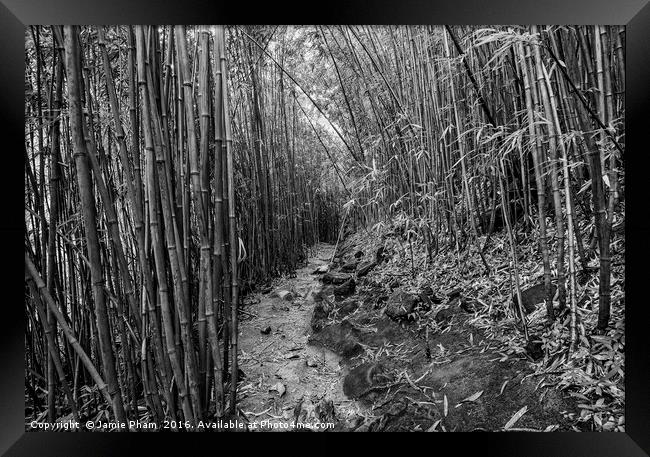 The magical bamboo forest of Maui Framed Print by Jamie Pham