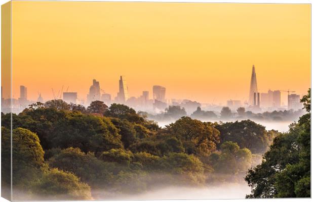 Parkland to Heartland Canvas Print by Philip Male