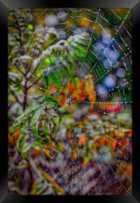 Autumnal Cobweb. Framed Print by Angela Aird