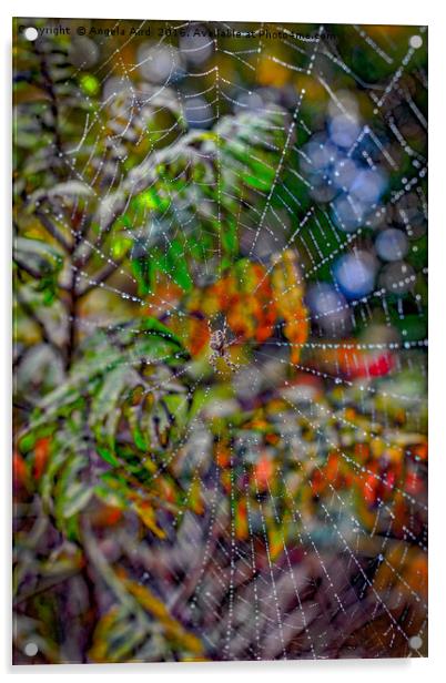 Autumnal Cobweb. Acrylic by Angela Aird