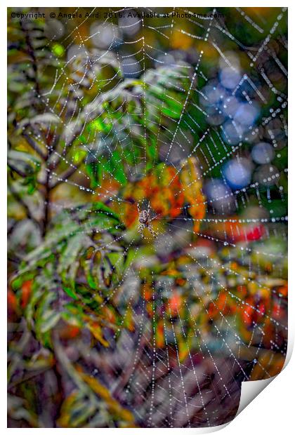 Autumnal Cobweb. Print by Angela Aird