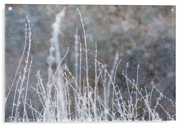 Winter Grass Acrylic by Jackie Davies