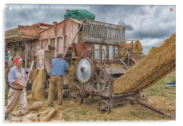 Farming Yesteryear Acrylic by Brian Fry