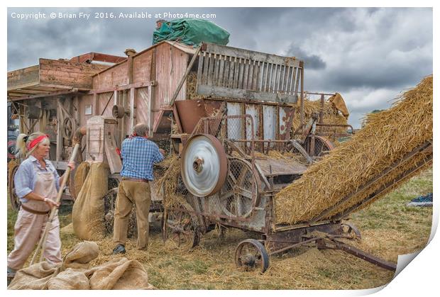 Farming Yesteryear Print by Brian Fry