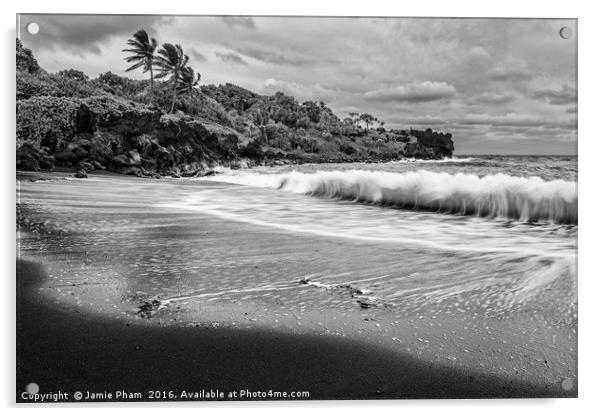 The exotic and famous Black Sand Beach Acrylic by Jamie Pham