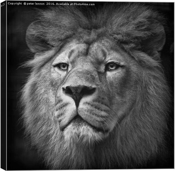 His Majesty Canvas Print by Peter Lennon